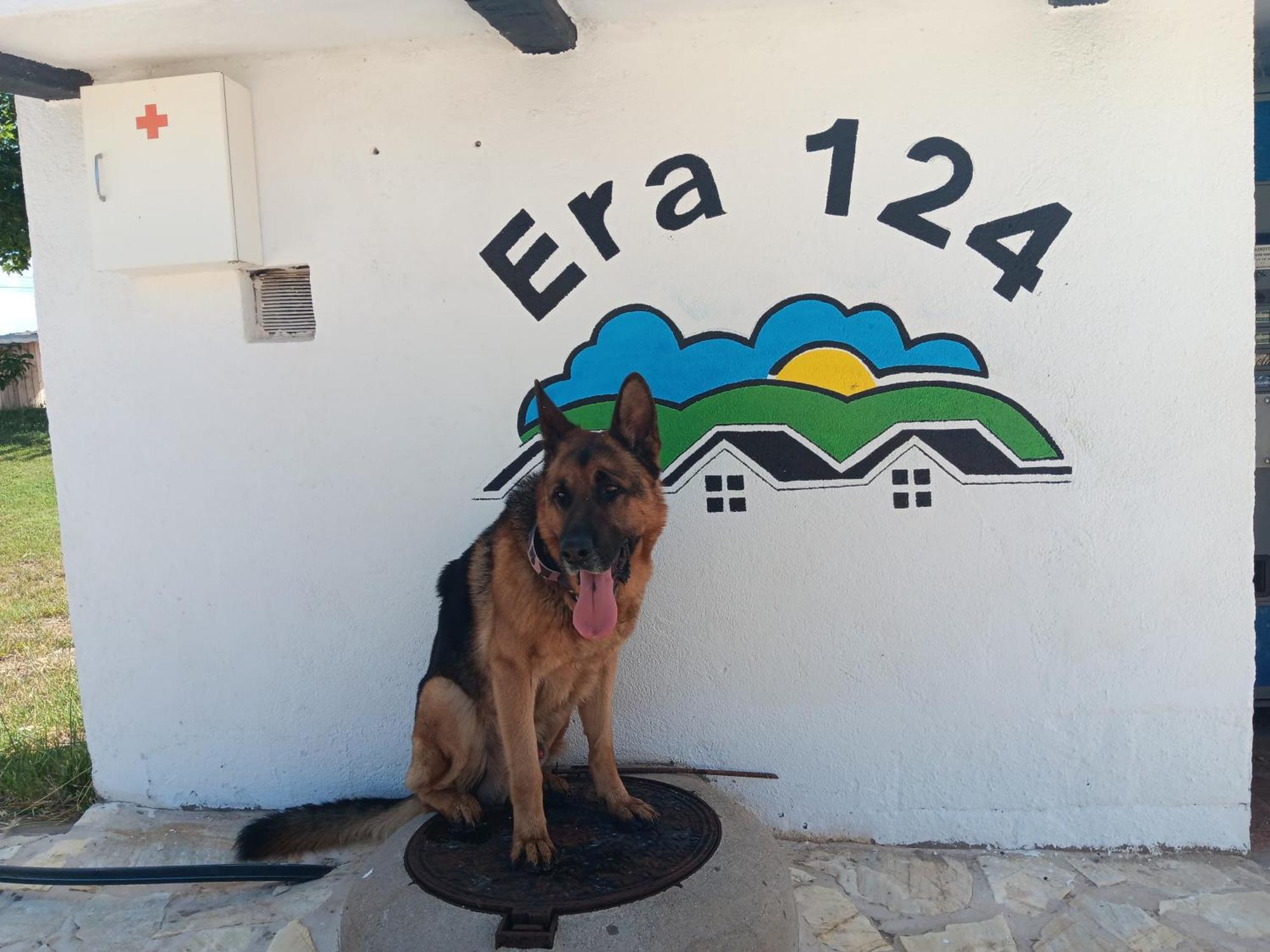 Era 124 Apartman Zafra de Záncara Kültér fotó
