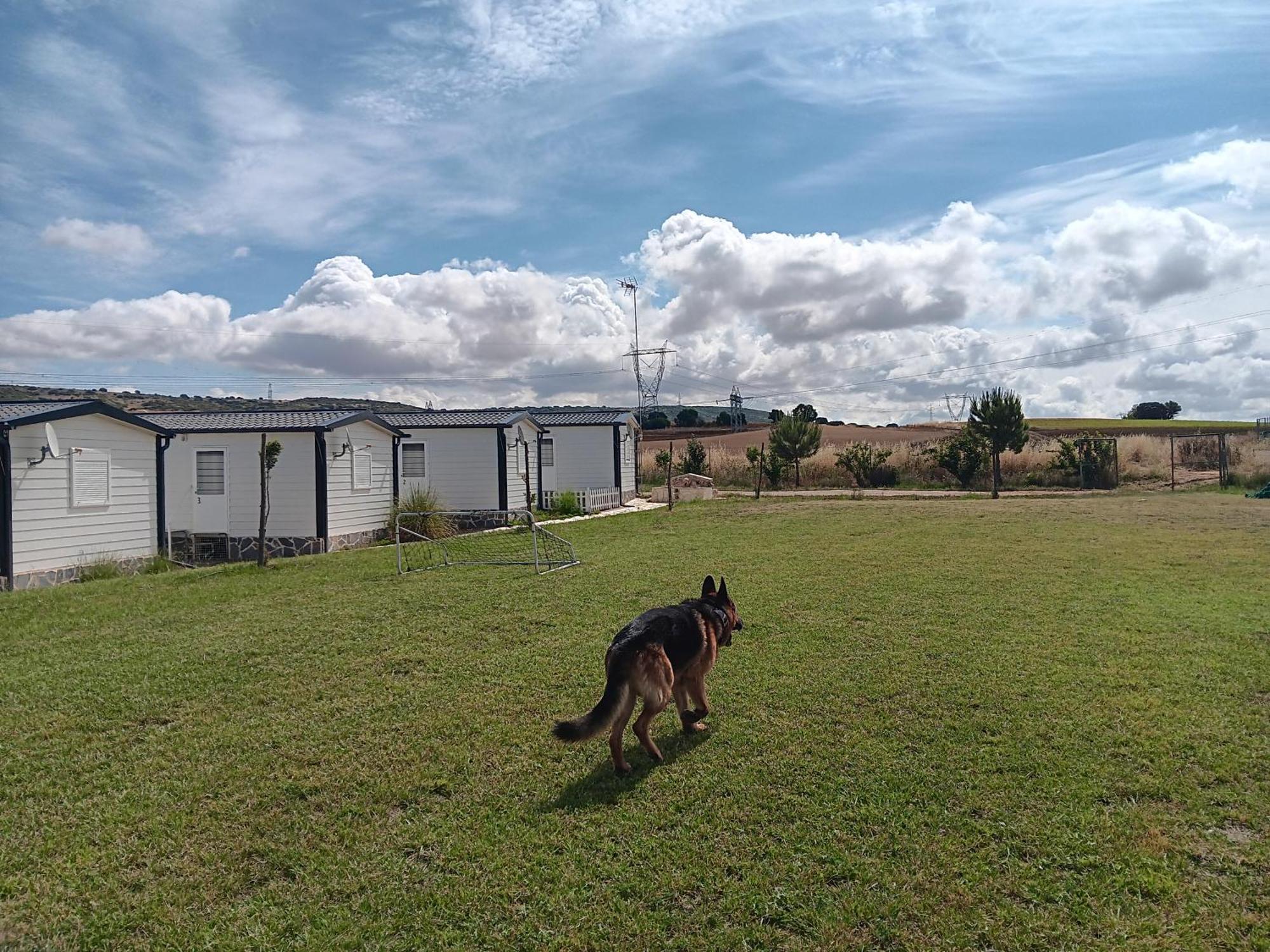Era 124 Apartman Zafra de Záncara Kültér fotó